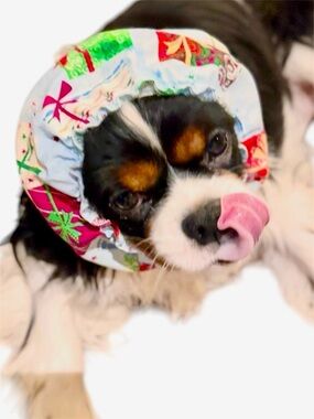 SNOOD Long Eared Dog Hat for Mealtime & Feeding